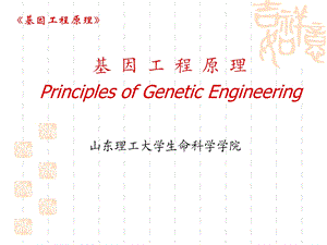 第七章 重组子的筛选与鉴定ppt课件.ppt