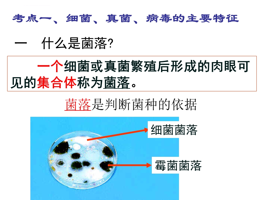 生物八年级上册第四章、第五章复习ppt课件.ppt_第3页