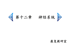 神经系统解剖ppt课件.ppt