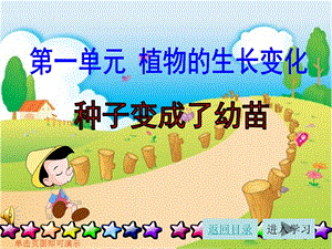 种子变成了幼苗ppt课件.ppt