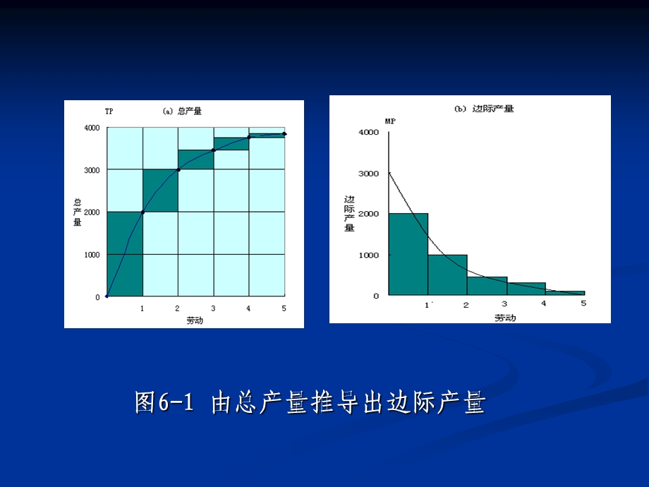 生产和企业组织萨缪尔逊经济学第十八版微观经济学浙江财经学院ppt课件.pptx_第3页