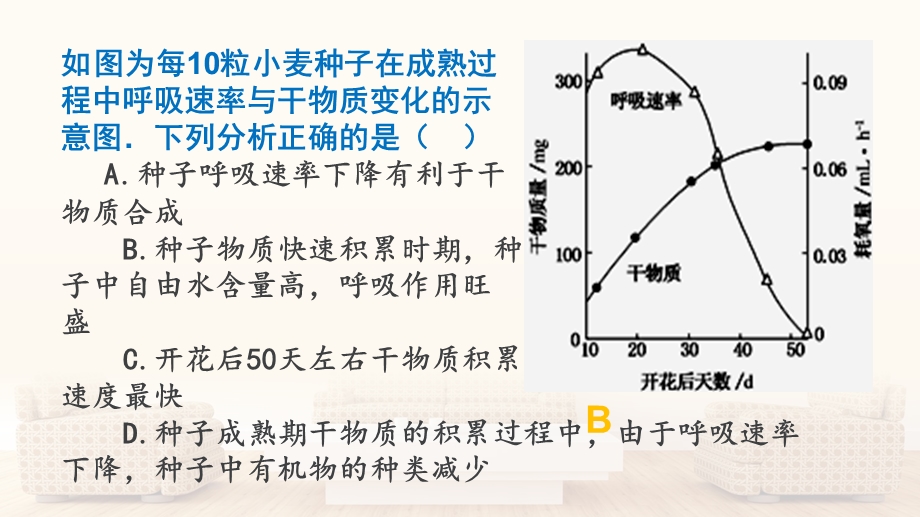 种子萌发过程中的物质变化ppt课件.pptx_第3页