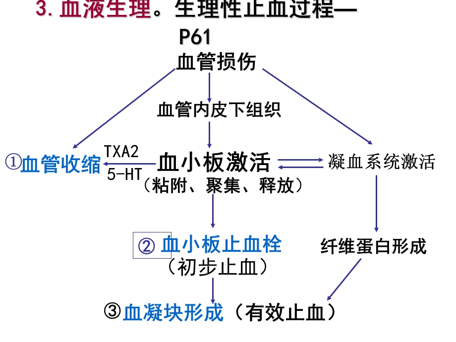 生理学重点总结ppt课件.ppt_第2页