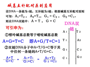 碱基互补配对原则的计算范例ppt课件.ppt