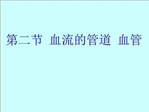 生物：4.4.2《血流的管道──血管》ppt课件1(人教版七年级下).ppt