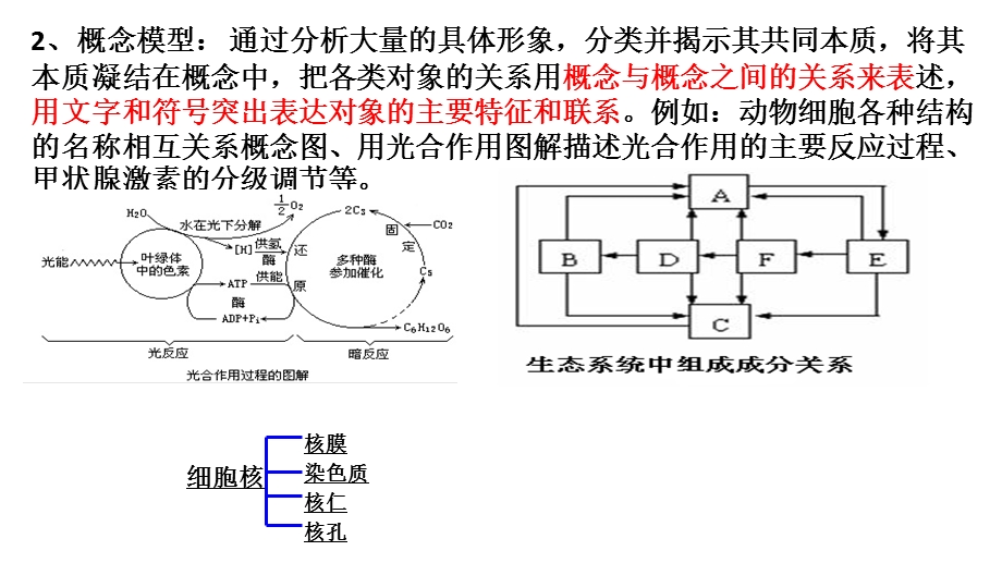 生物的模型种类ppt课件.ppt_第3页