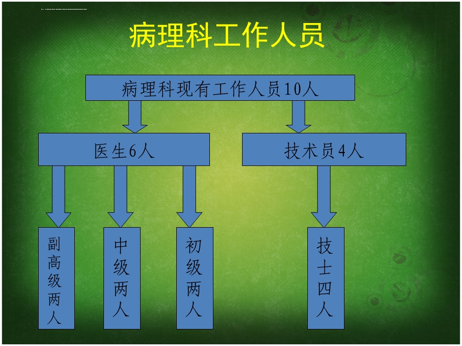 病理科医疗质量与安全ppt课件.ppt_第2页