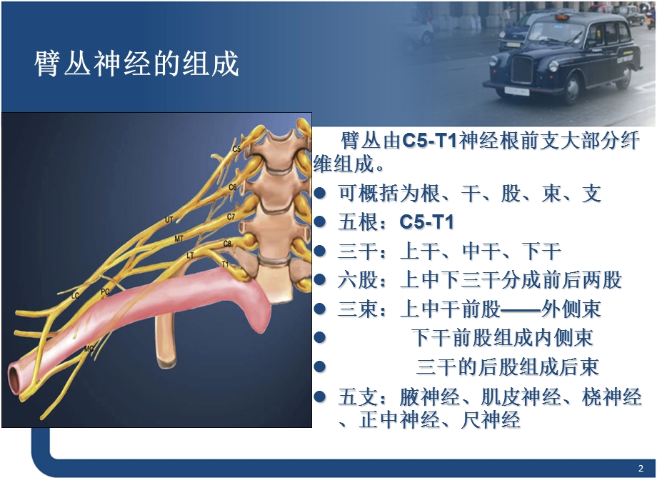 磁共振臂丛神经解剖及成像技术ppt课件.pptx_第2页