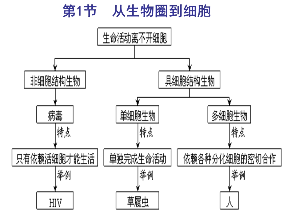 生物生命系统的结构层次ppt课件.ppt_第2页