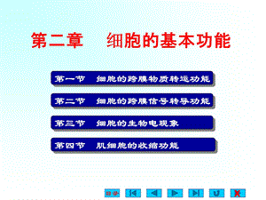 生理学ppt课件细胞的基本功能.pptx