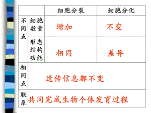 第3节 细胞的衰老和凋亡ppt课件.pptx