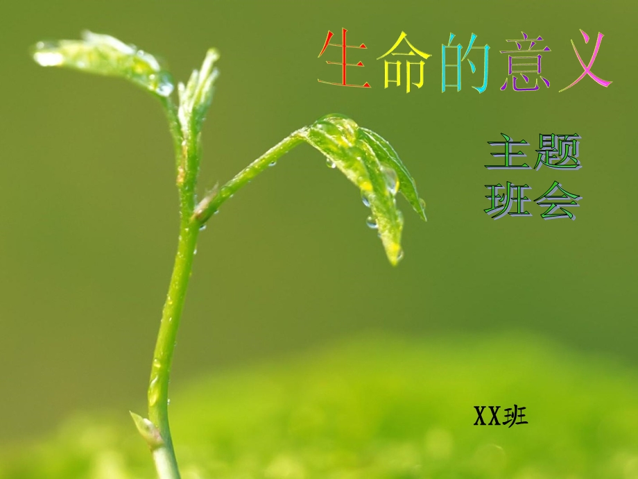 生命的意义班会ppt课件.ppt_第1页