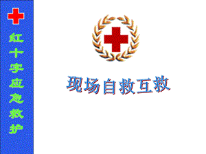 现场心肺复苏(CPR)ppt课件.ppt