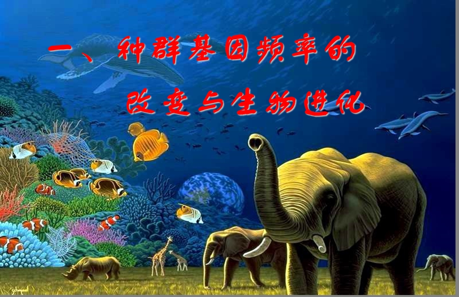 现代生物进化理论的主要内容 ppt课件.ppt_第3页