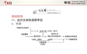 现代综合进化理论ppt课件.ppt