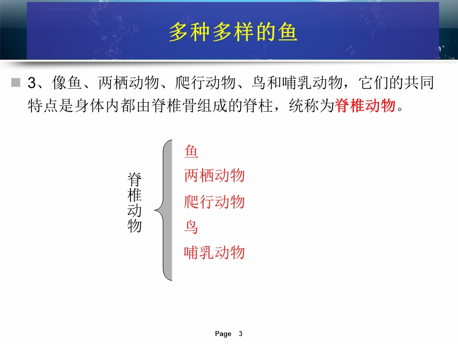 第一章动物的主要类群ppt课件.ppt_第3页