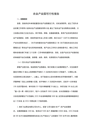 农业产业园可行性报告.docx