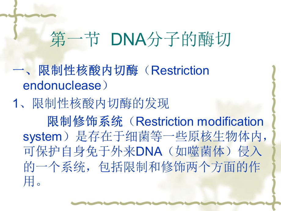 第4章 核酸分子的酶切、连接和修饰ppt课件.ppt_第2页