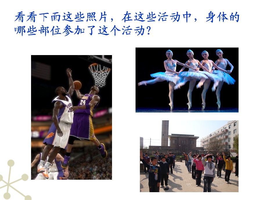 神经系统的组成公开课ppt课件.ppt_第1页