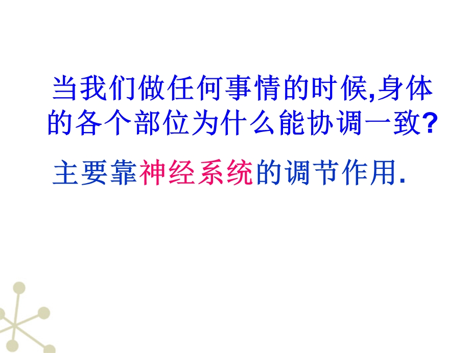 神经系统的组成公开课ppt课件.ppt_第2页