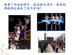 神经系统的组成公开课ppt课件.ppt