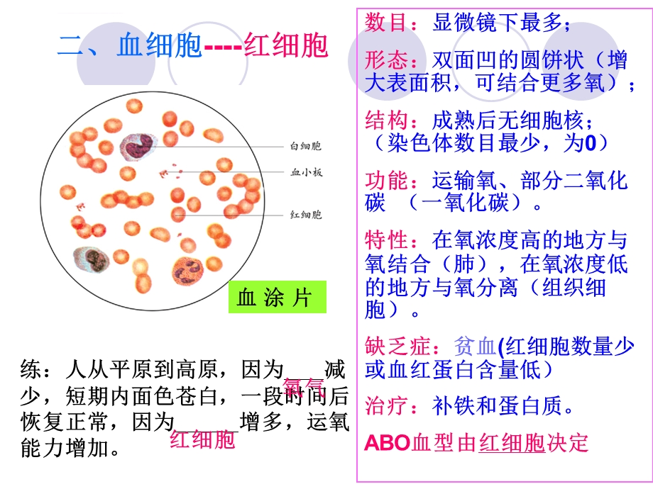 生物第10章人体内的物质运输和能量供给复习ppt课件（苏教版七年级下）.ppt_第3页