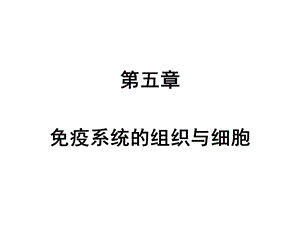 第5章 免疫器官和组织ppt课件.ppt