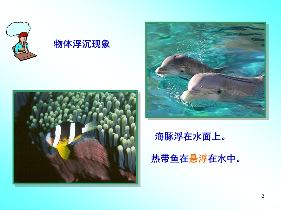 物体的浮与沉ppt课件.ppt_第2页