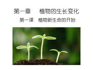 第一章 植物的生长变化ppt课件.ppt