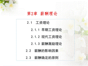 第2章 薪酬理论ppt课件.ppt