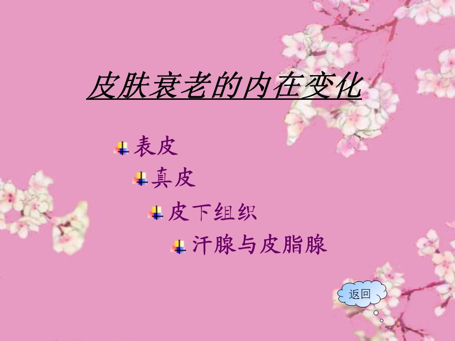 皮肤的衰老ppt课件.ppt_第2页