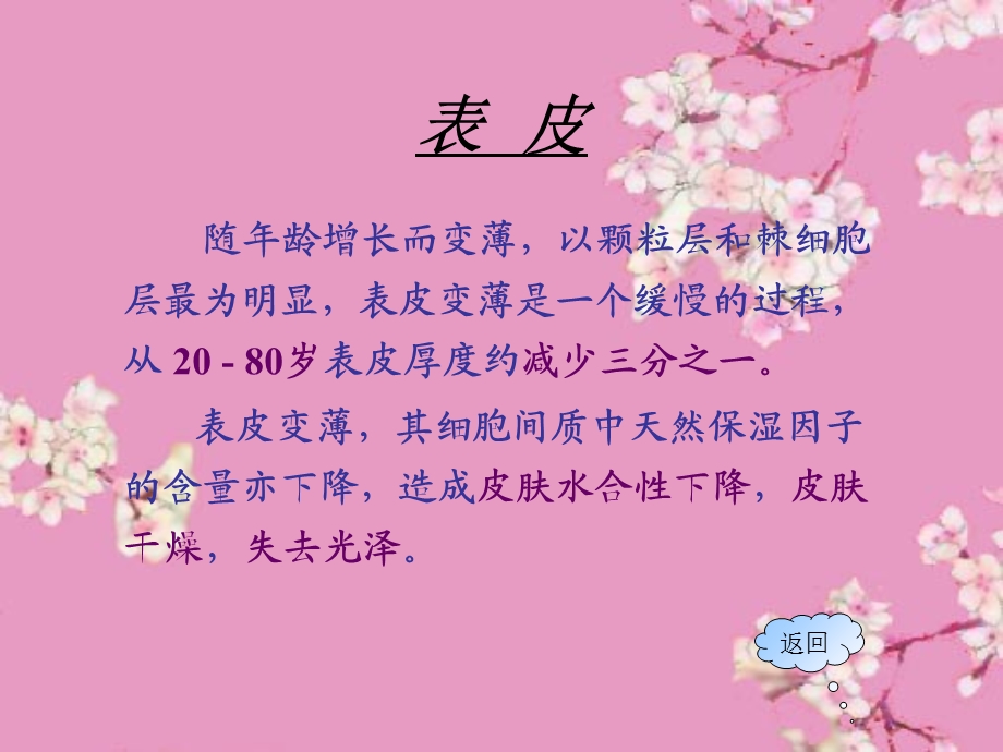 皮肤的衰老ppt课件.ppt_第3页