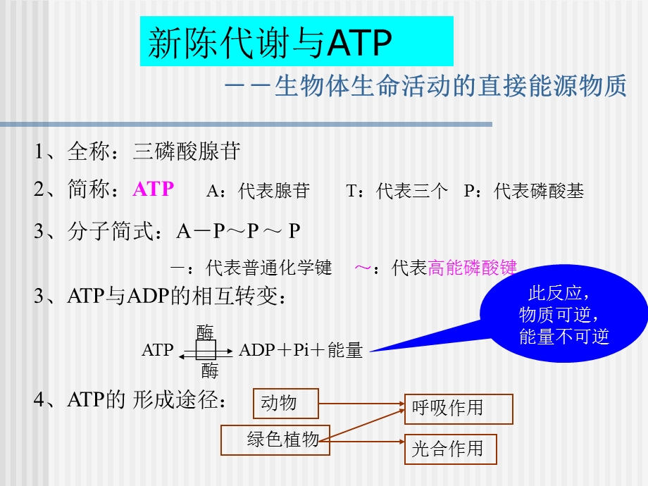 生物的新陈代谢ppt课件.ppt_第3页