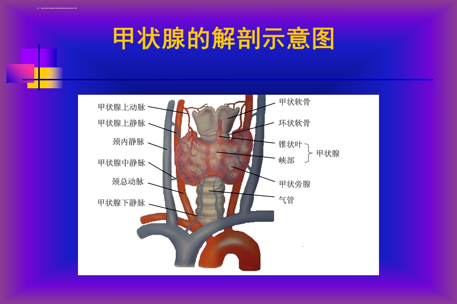 甲状腺超声检查ppt课件.ppt_第2页