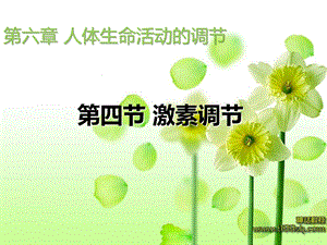 生物七年级下册第六章第四节 激素调节ppt课件.ppt