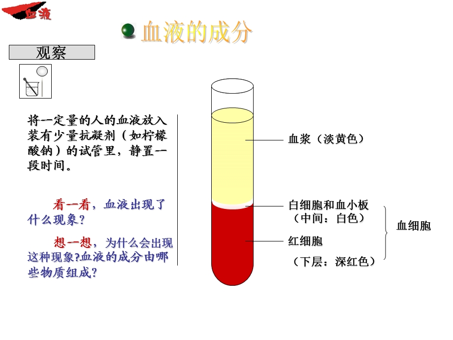 流动的组织 血液(公开课)ppt课件.pptx_第3页