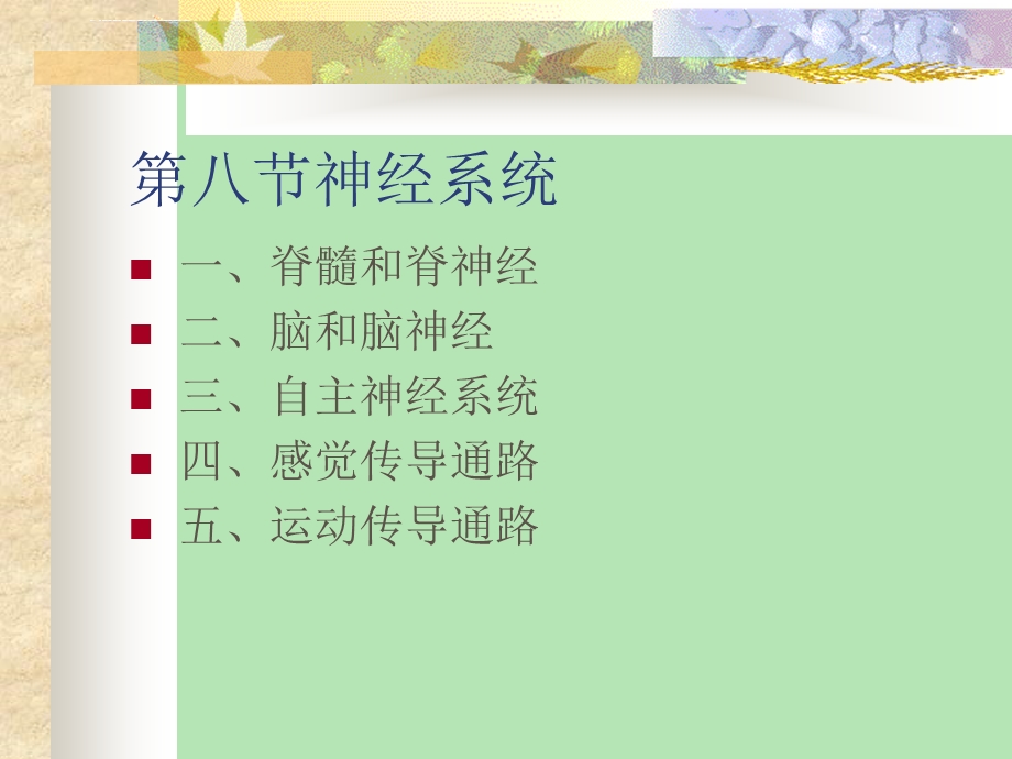 神经系统解剖学ppt课件.ppt_第1页