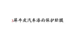 犀牛皮培训精讲课件.ppt