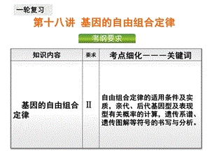 第18讲基因的自由组合定律(一轮复习)ppt课件.ppt