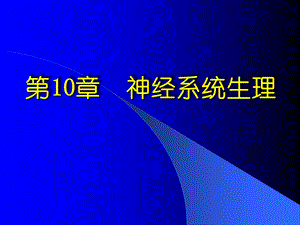 神经系统 ppt课件.ppt