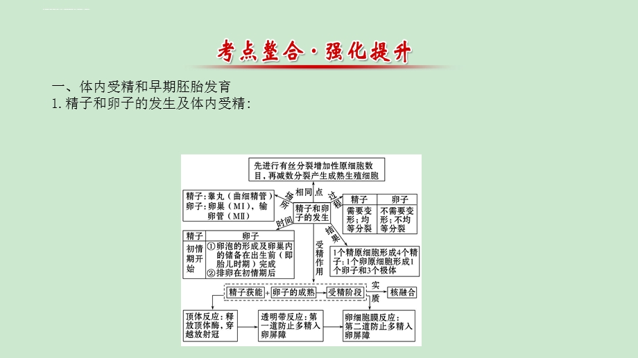 生物ppt课件人教版选修三 专题3 胚胎工程阶段复习.ppt_第3页