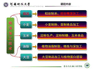 稻谷精深加工ppt课件.pptx