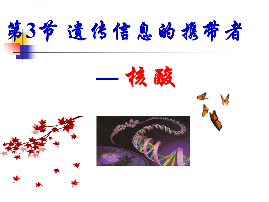 生物：2.3《遗传信息携带者——核酸》ppt课件.ppt_第1页