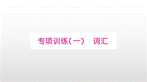 湘少版四年级英语下册 专项训练ppt课件.ppt