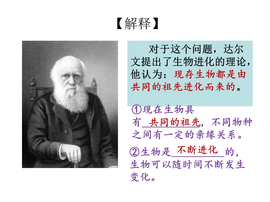 现存生物具有共同的祖先 精品ppt课件.ppt_第3页