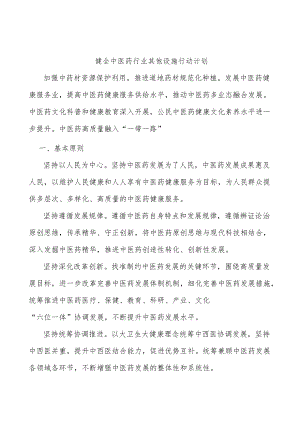 健全中医药行业其他设施行动计划.docx