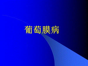 眼科学——葡萄膜病ppt课件.ppt