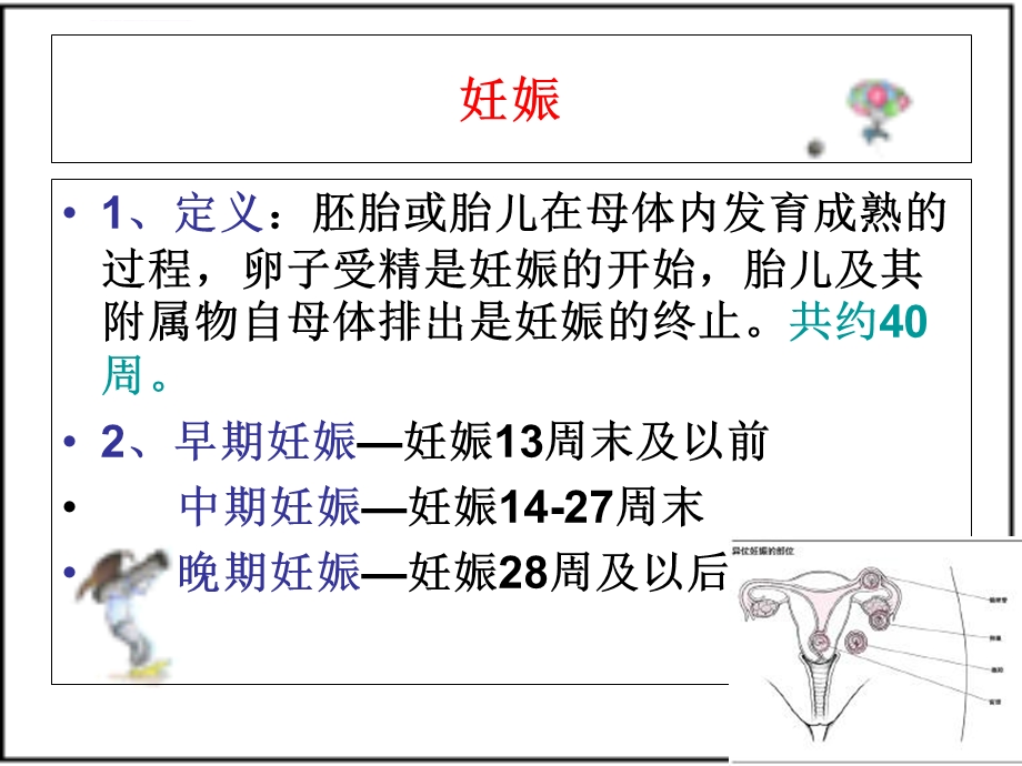 第3章 妊娠期保健ppt课件.ppt_第2页