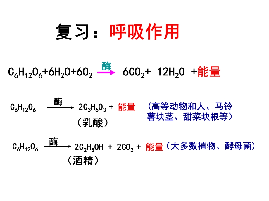 第一轮光合作用一轮复习ppt课件(修改).ppt_第1页