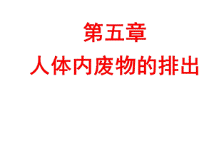 生物七年级下册《第五章人体内废物的排出》省优质课一等奖ppt课件.ppt